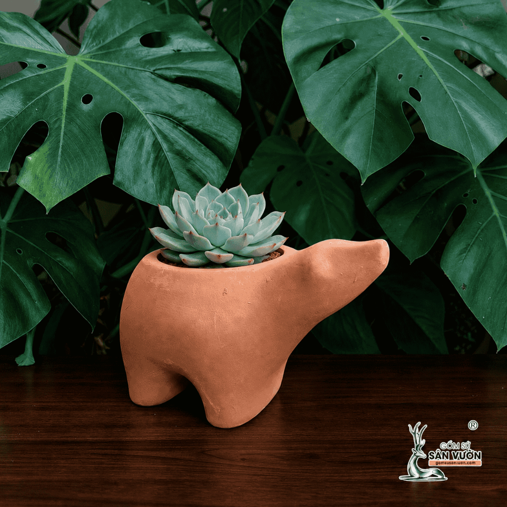 Chậu Gốm Đât Nung Hình Thú Ăn Kiến - Gốm Sứ Sân Vườn