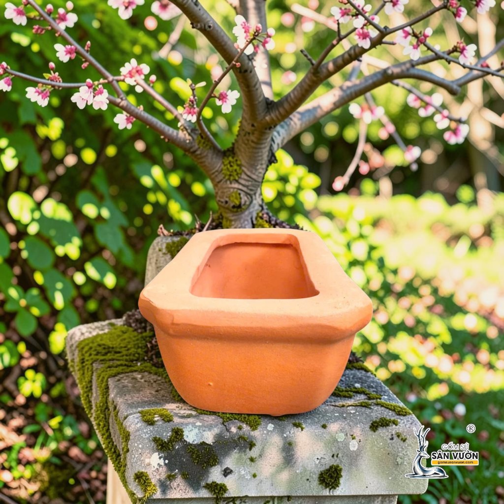 Chậu Gốm Đất Nung Hình Chữ Nhật Bo Góc Trồng Bonsai - Gốm Sứ Sân Vườn