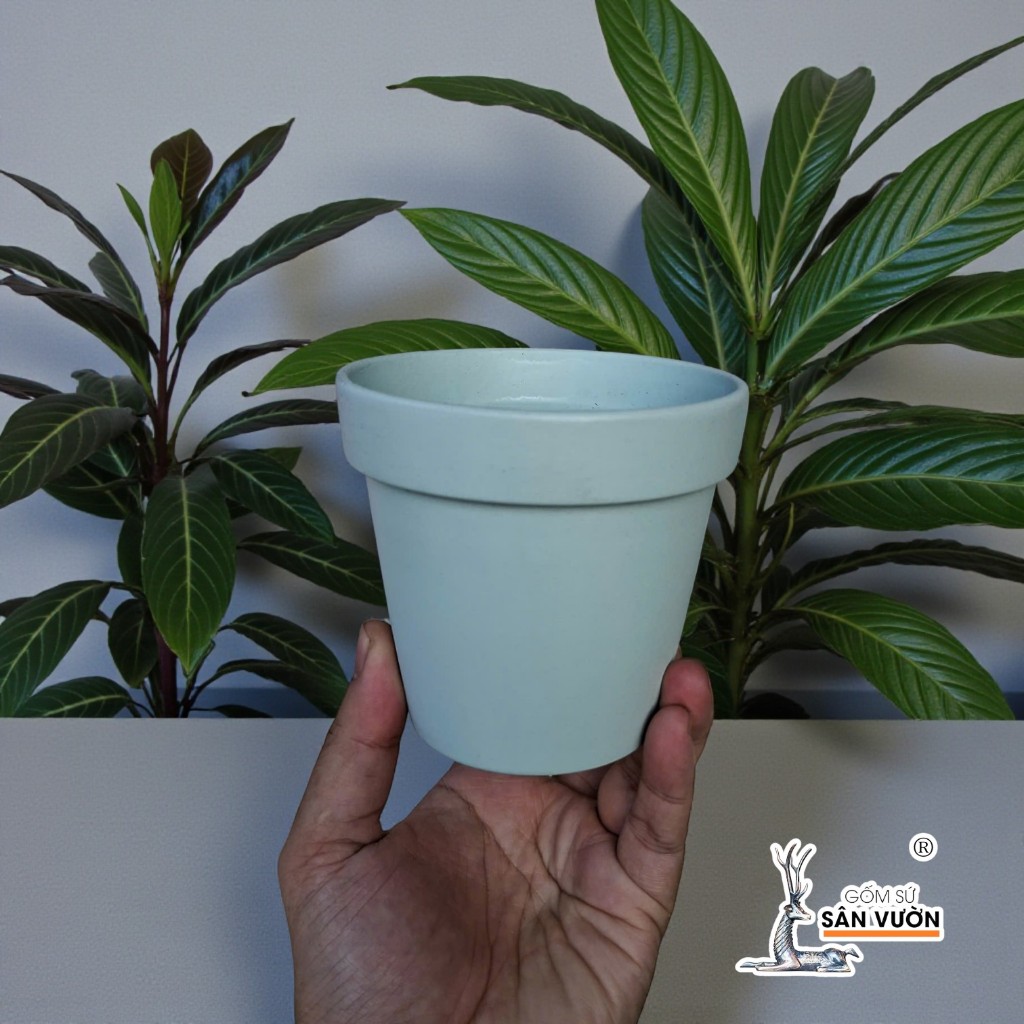 Chậu Gốm Đất Nung Ly Gờ Màu Pastel Size 10 cm - Gốm Sứ Sân Vườn