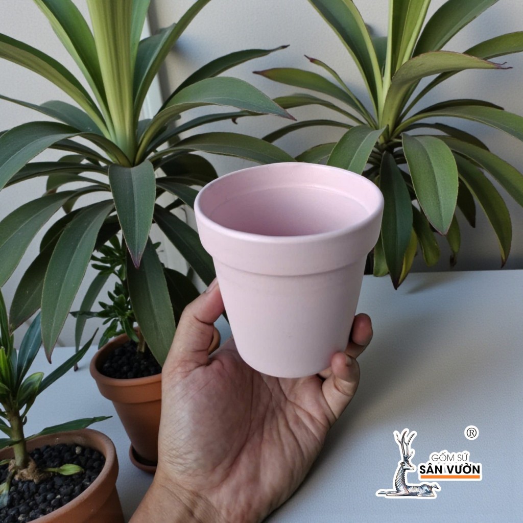 Chậu Gốm Đất Nung Ly Gờ Màu Pastel Size 10 cm - Gốm Sứ Sân Vườn