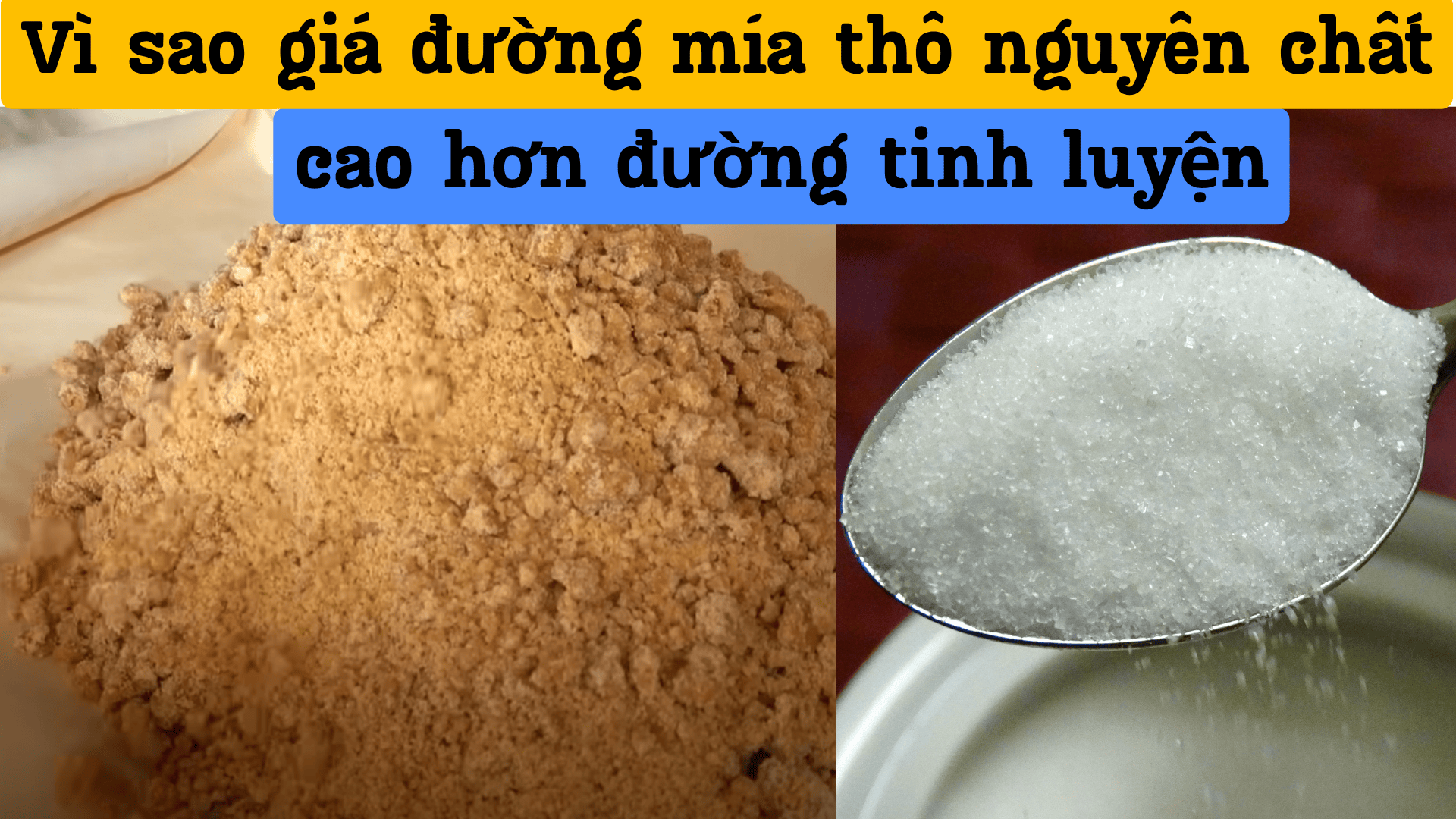 Vì Sao Đường Mía Thô Nguyên Chất Giá Cao Hơn Đường Tinh Luyện?