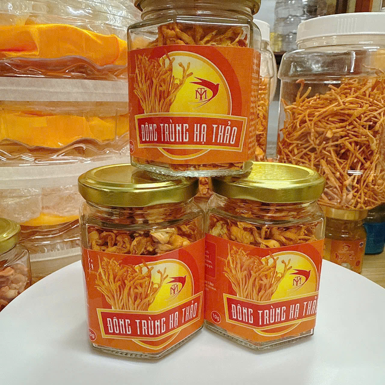 ĐÔNG TRÙNG HẠ THẢO