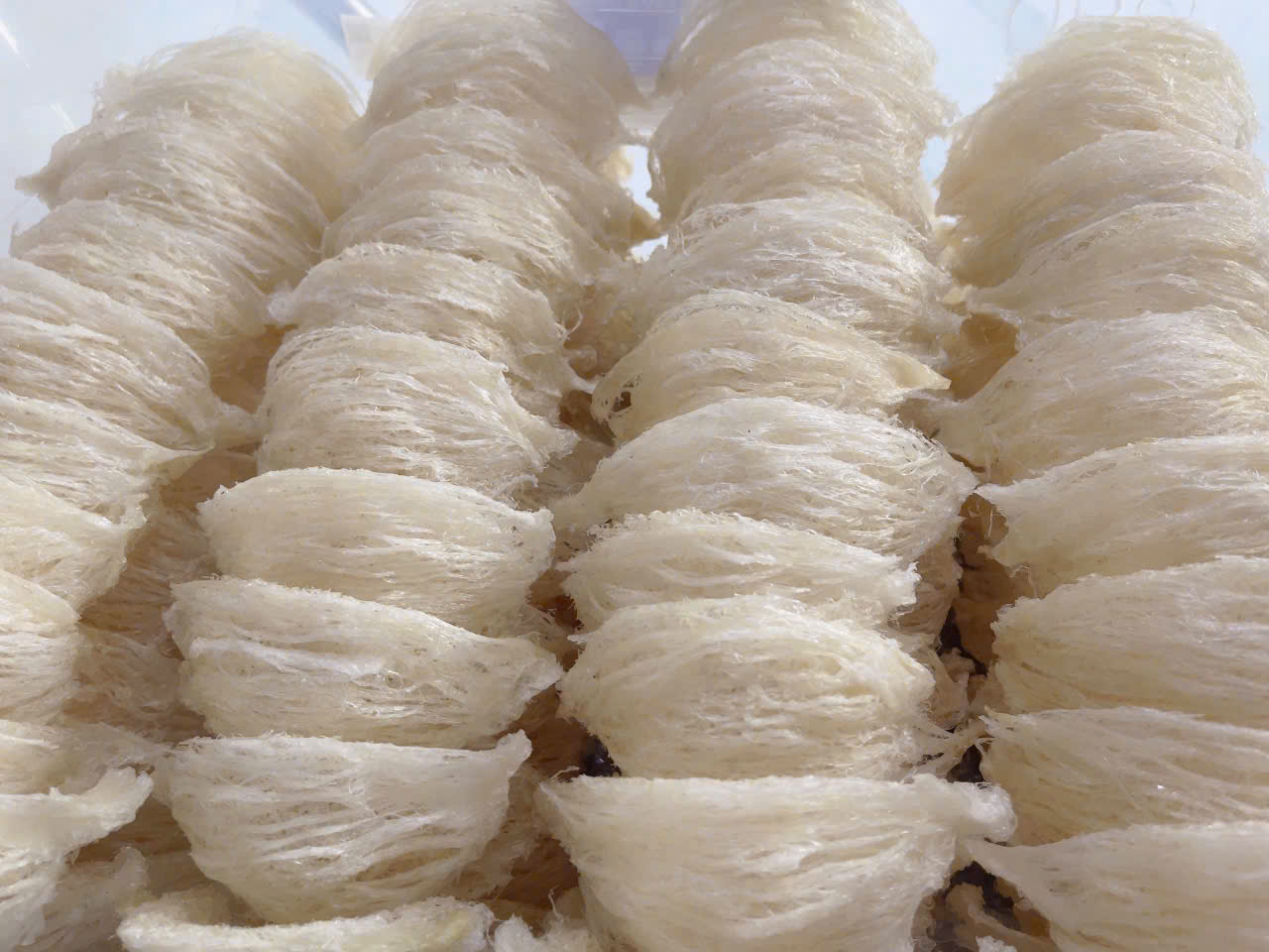 YẾN TINH CHẾ – CAO CẤP