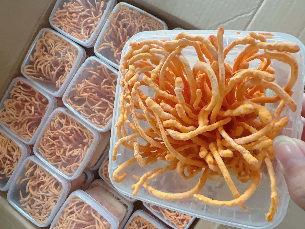 ĐÔNG TRÙNG HẠ THẢO