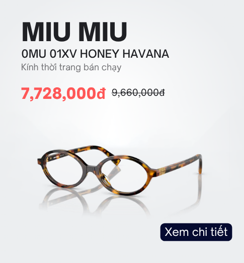 Miu Miu Havana