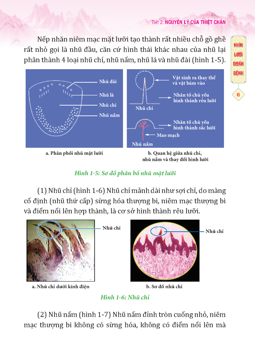 Đông Y Thiệt Chẩn (MT)