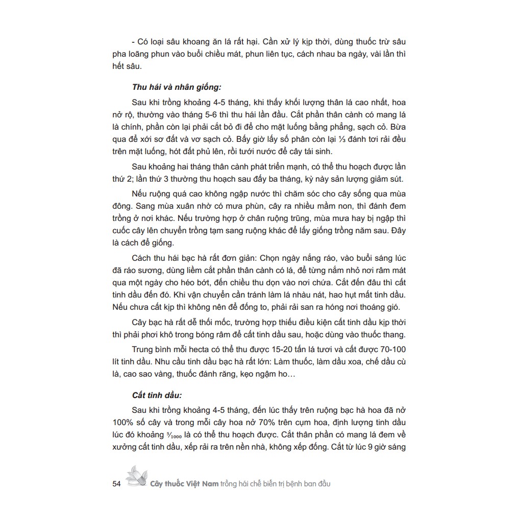 Sách - Cây thuốc Việt Nam trồng hái chế biến trị bệnh ban đầu (bìa cứng MT)