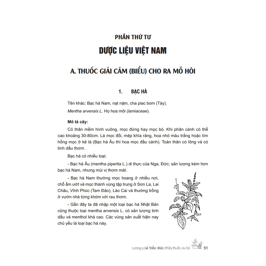 Sách - Cây thuốc Việt Nam trồng hái chế biến trị bệnh ban đầu (bìa cứng MT)