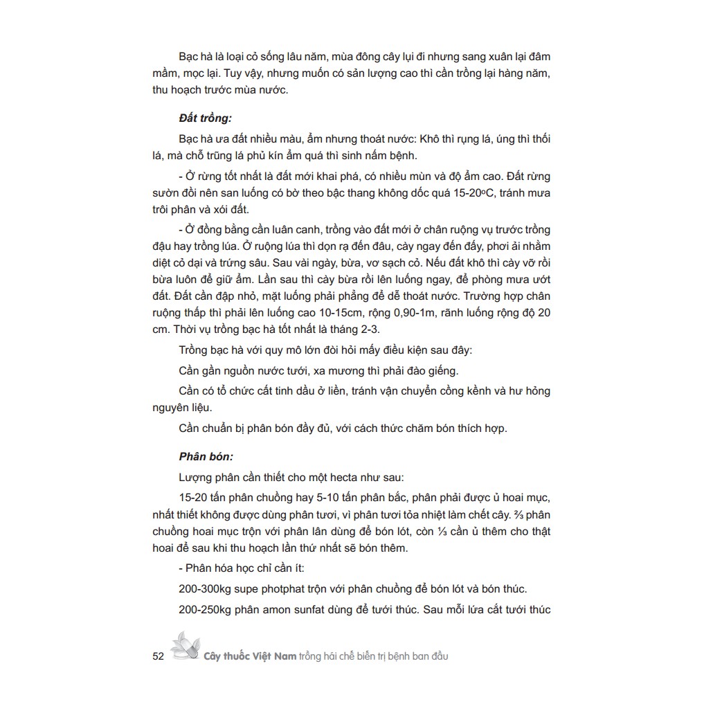 Sách - Cây thuốc Việt Nam trồng hái chế biến trị bệnh ban đầu (bìa cứng MT)