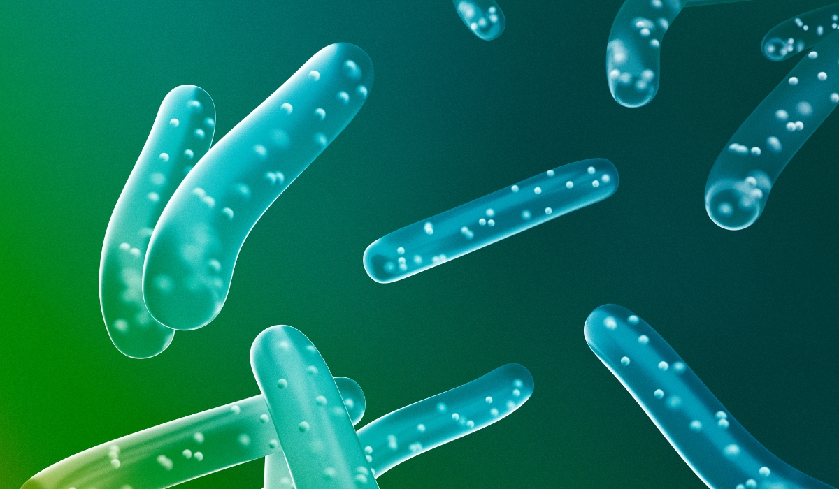 SỨC MẠNH VÔ HÌNH: CẨM NANG CHI TIẾT VỀ PROBIOTIC & PREBIOTIC