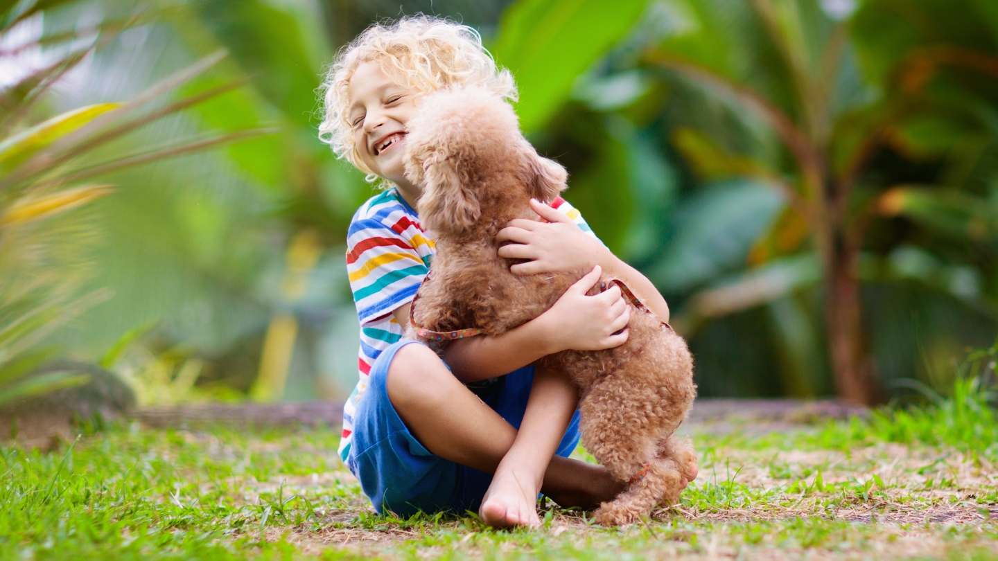 THÓP TRẺ SƠ SINH 5 ĐIỀU CẤM KỴ BỐ MẸ TUYỆT ĐÓI KHÔNG NÊN LÀM
