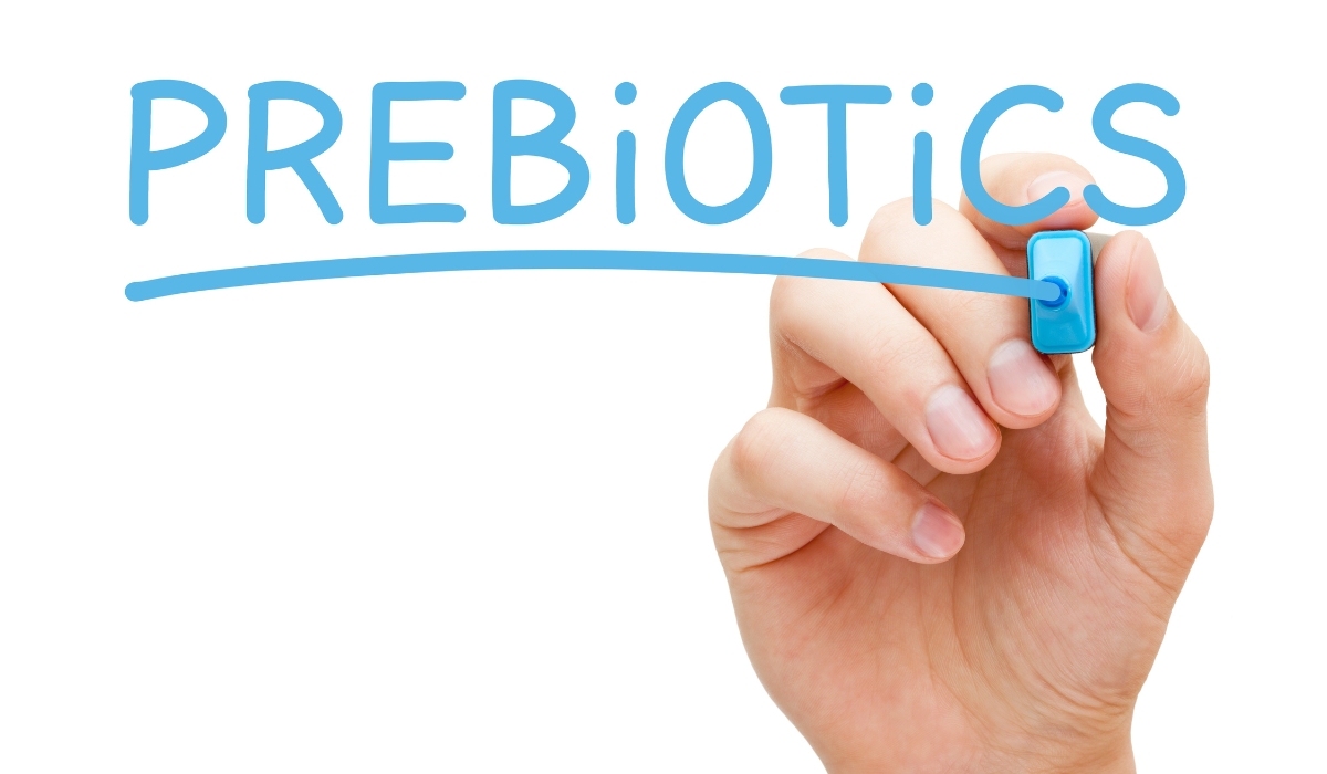 Prebiotics nguồn thức ăn tốt cho vi khuẩn đường ruột giúp tăng cường và bảo vệ đường ruột một cách khỏe mạnh