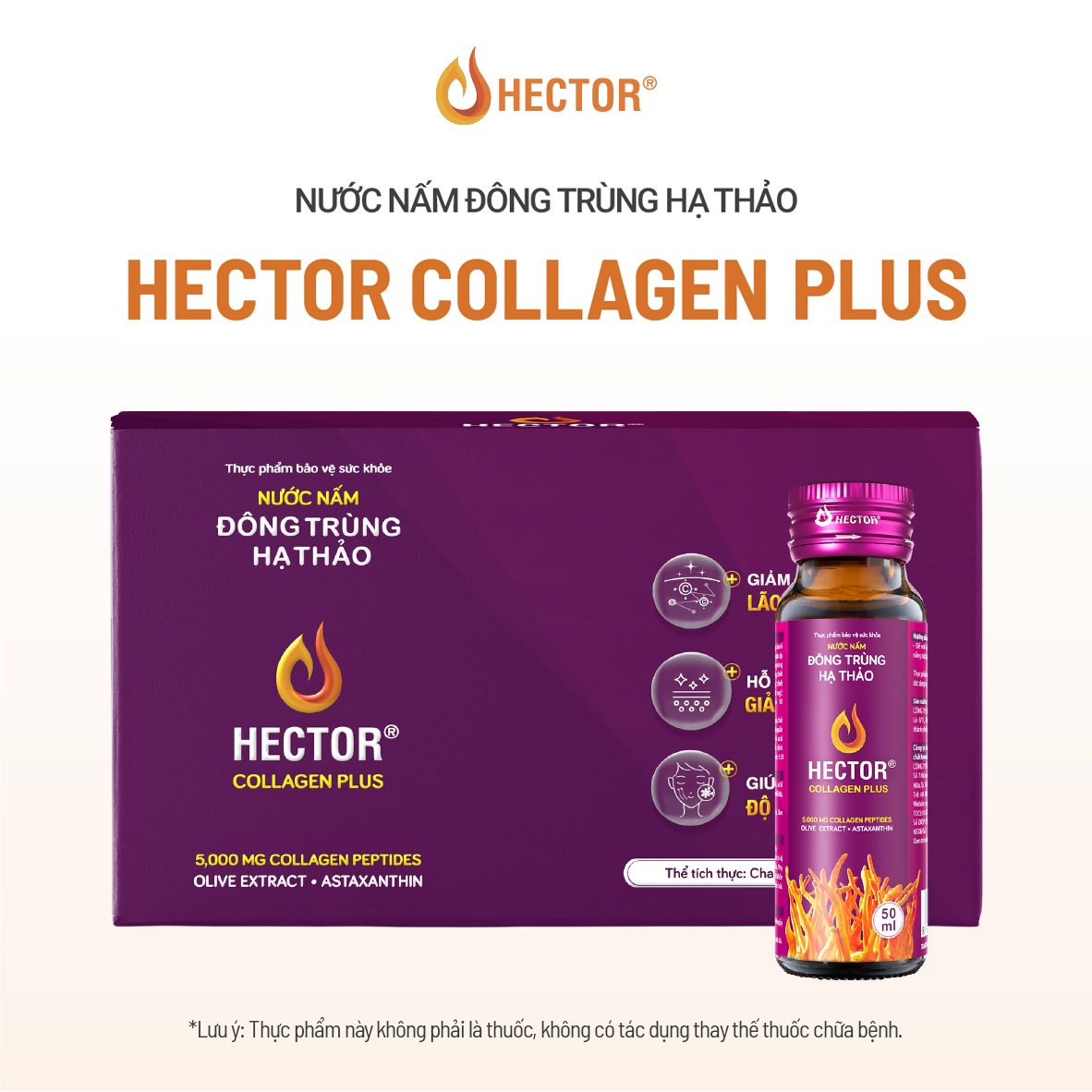 Thực phẩm bảo vệ sức khỏe Nước nấm đông trùng hạ thảo Hector Collagen Plus (10 chai)