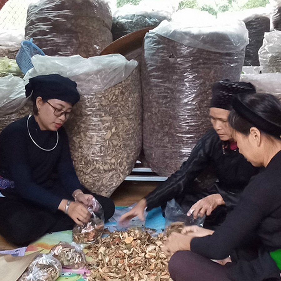 Chữa Niêm Mạc Tử Cung Mỏng- Bí quyết gia truyền lương y Nguyễn Thị Thái