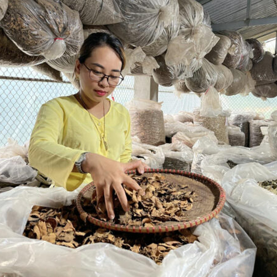 Chữa Dính Buồng Tử Cung- Bí quyết gia truyền lương y Nguyễn Thị Thái