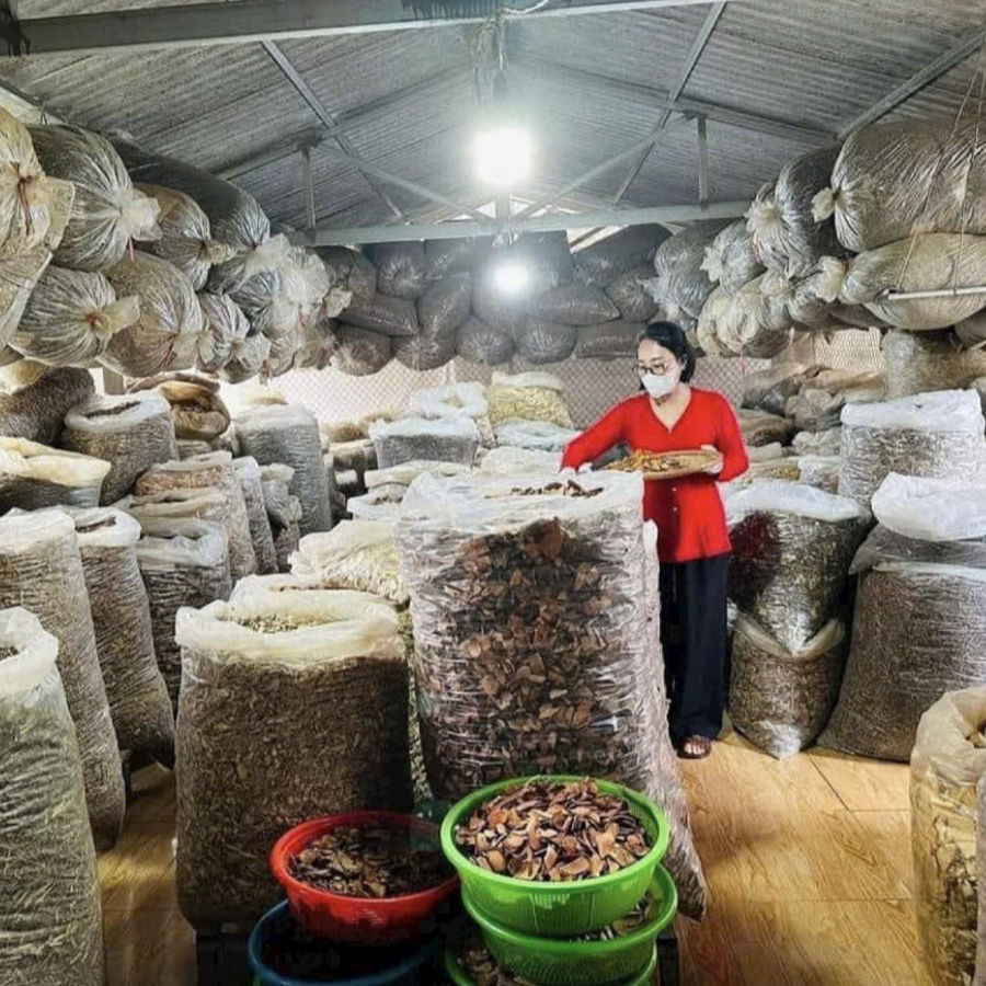 Lương Y Nguyễn Thị Thái và bài thuốc dân tộc chữa U Phổi