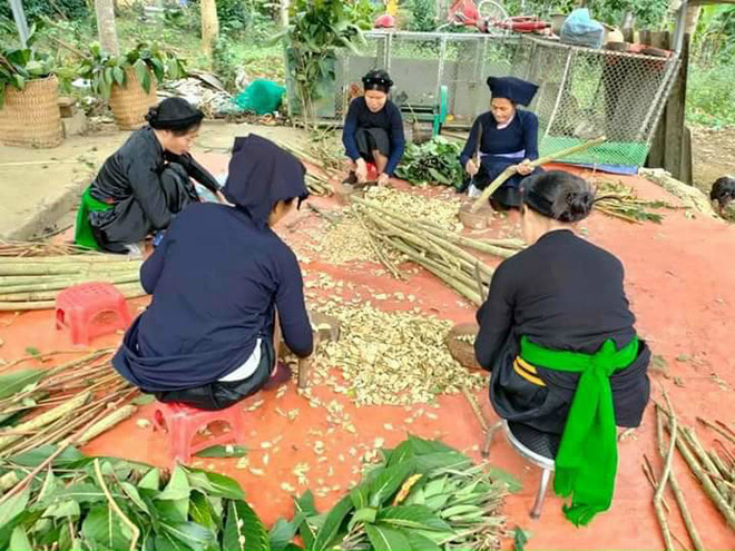 Lương y Nguyễn Thị Thái - Kho báu thuốc Nam của người Việt