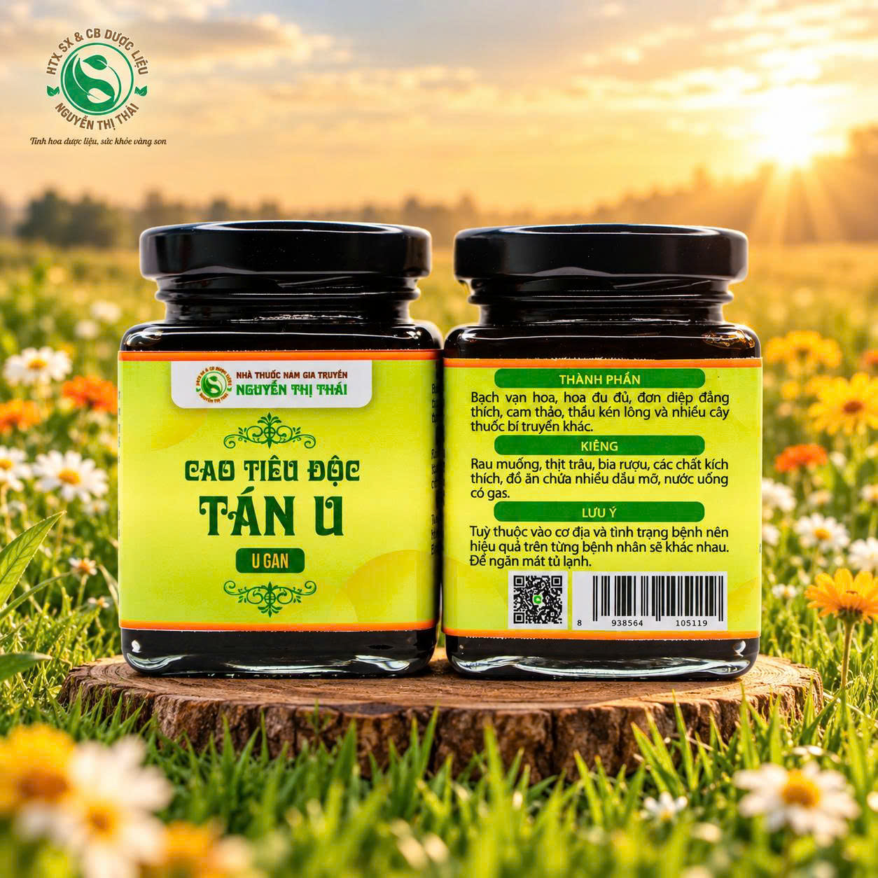 Cao Tiêu Độc Tán U – Hỗ Trợ Điều Trị U Gan Lương y Nguyễn Thị Thái