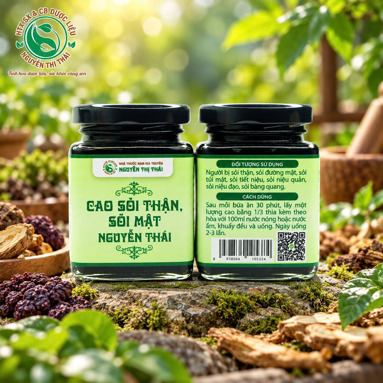 Cao hỗ trợ điều trị Sỏi Thận, Sỏi Mật