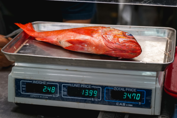 Cân điện tử Trí Việt