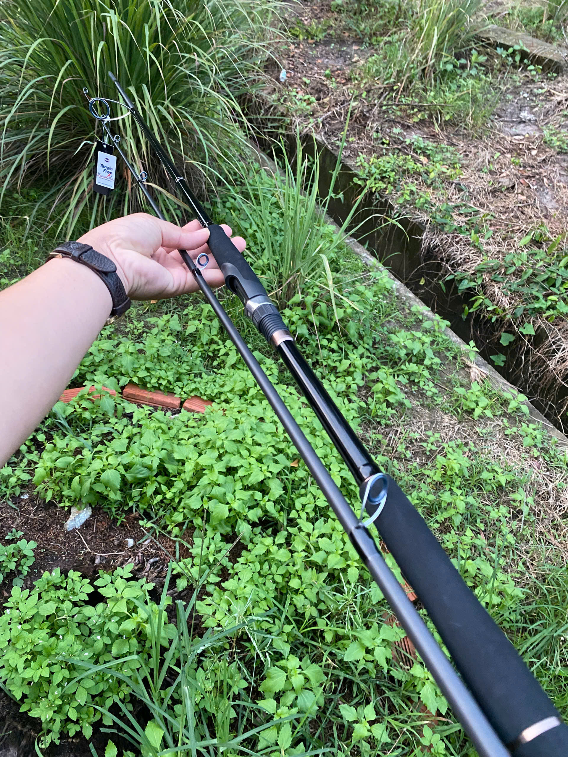 Cần MAJOR CRAFT CEANA