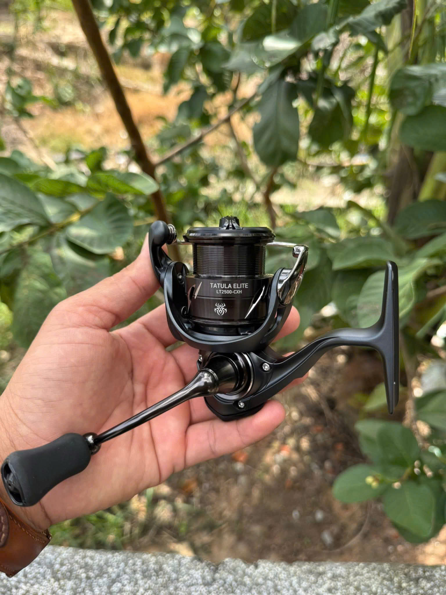 máy đứng DAIWA TATULA ELITE 2500-CXH 2024