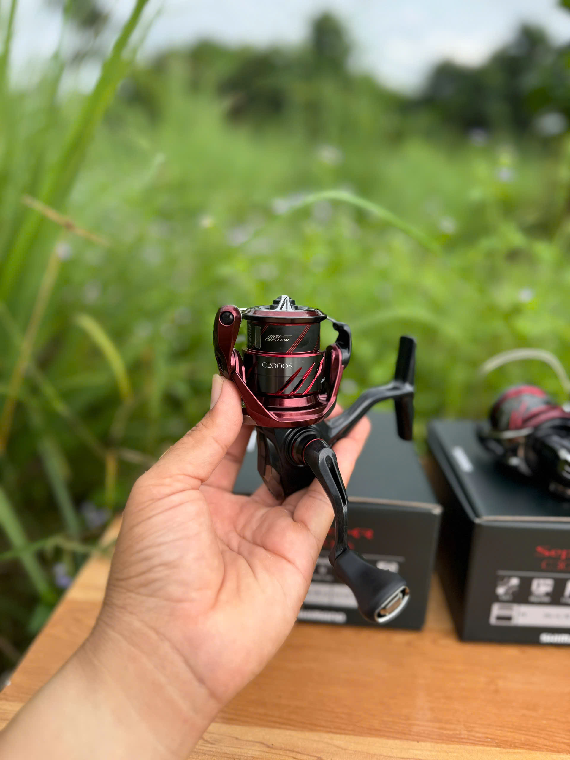 Shimano sephia sr 2025