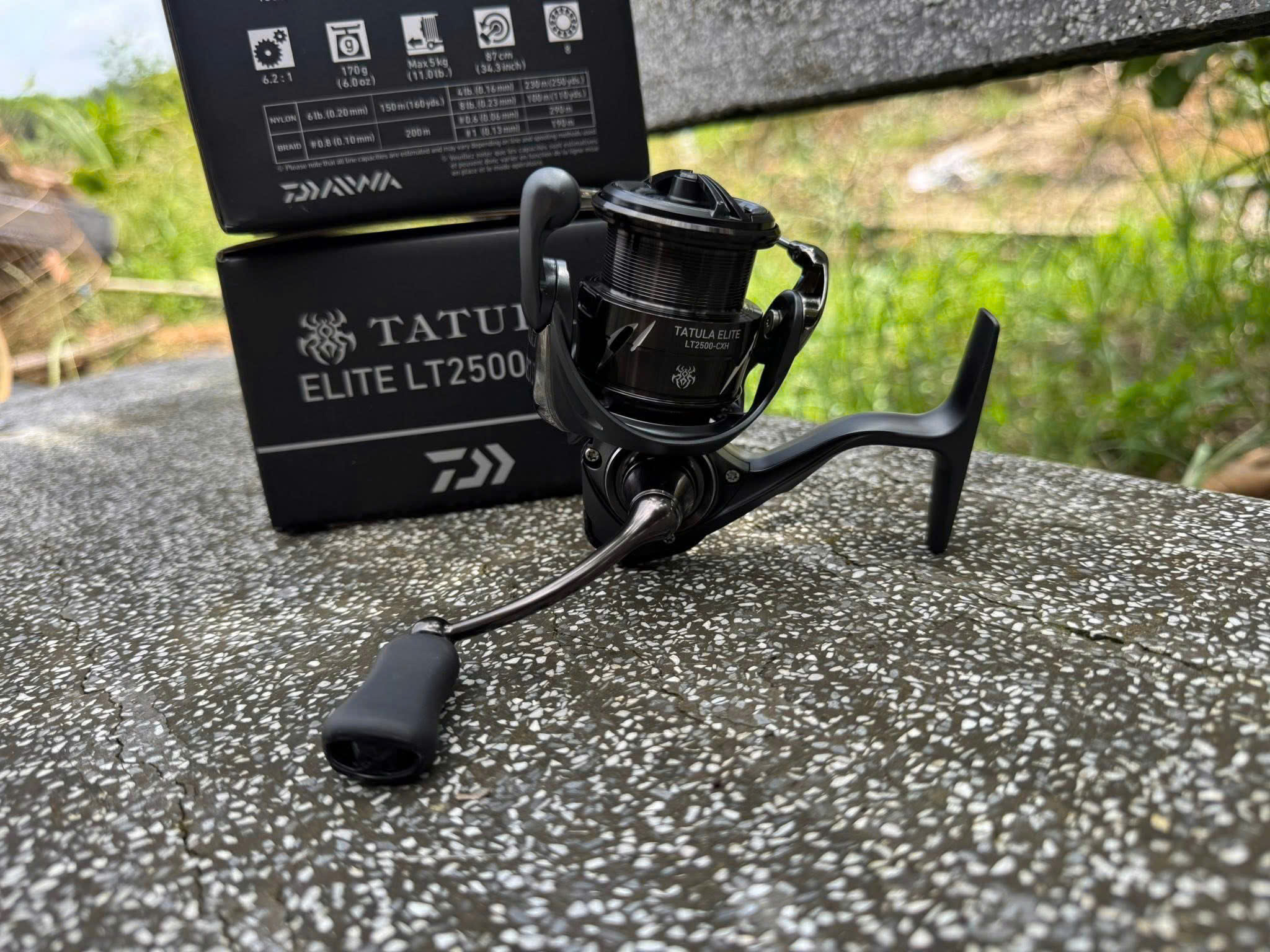 máy đứng DAIWA TATULA ELITE 2500-CXH 2024