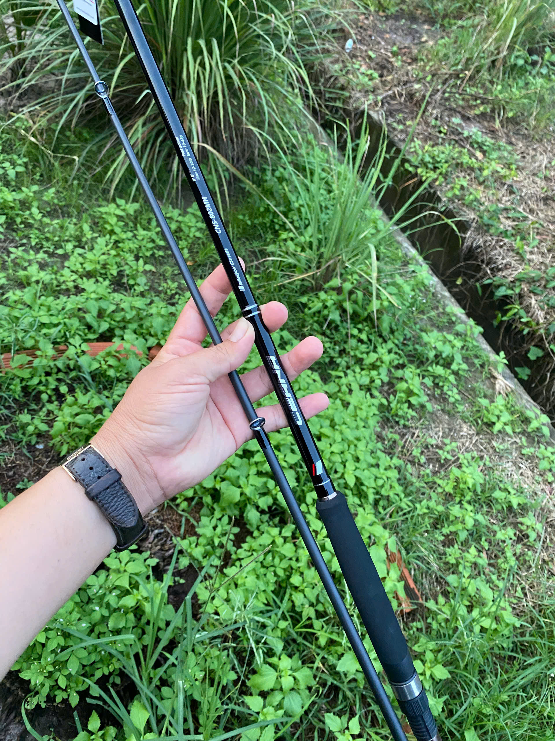 Cần MAJOR CRAFT CEANA