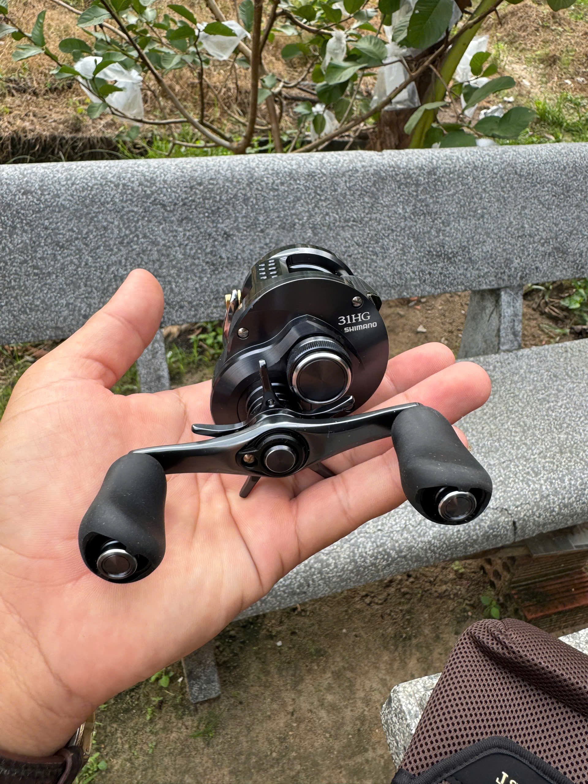 shimano conquest 31hg ,30hg 2024