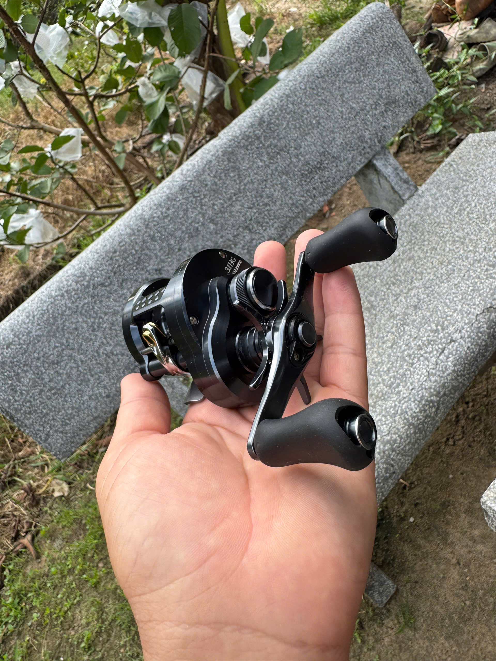 shimano conquest 31hg ,30hg 2024