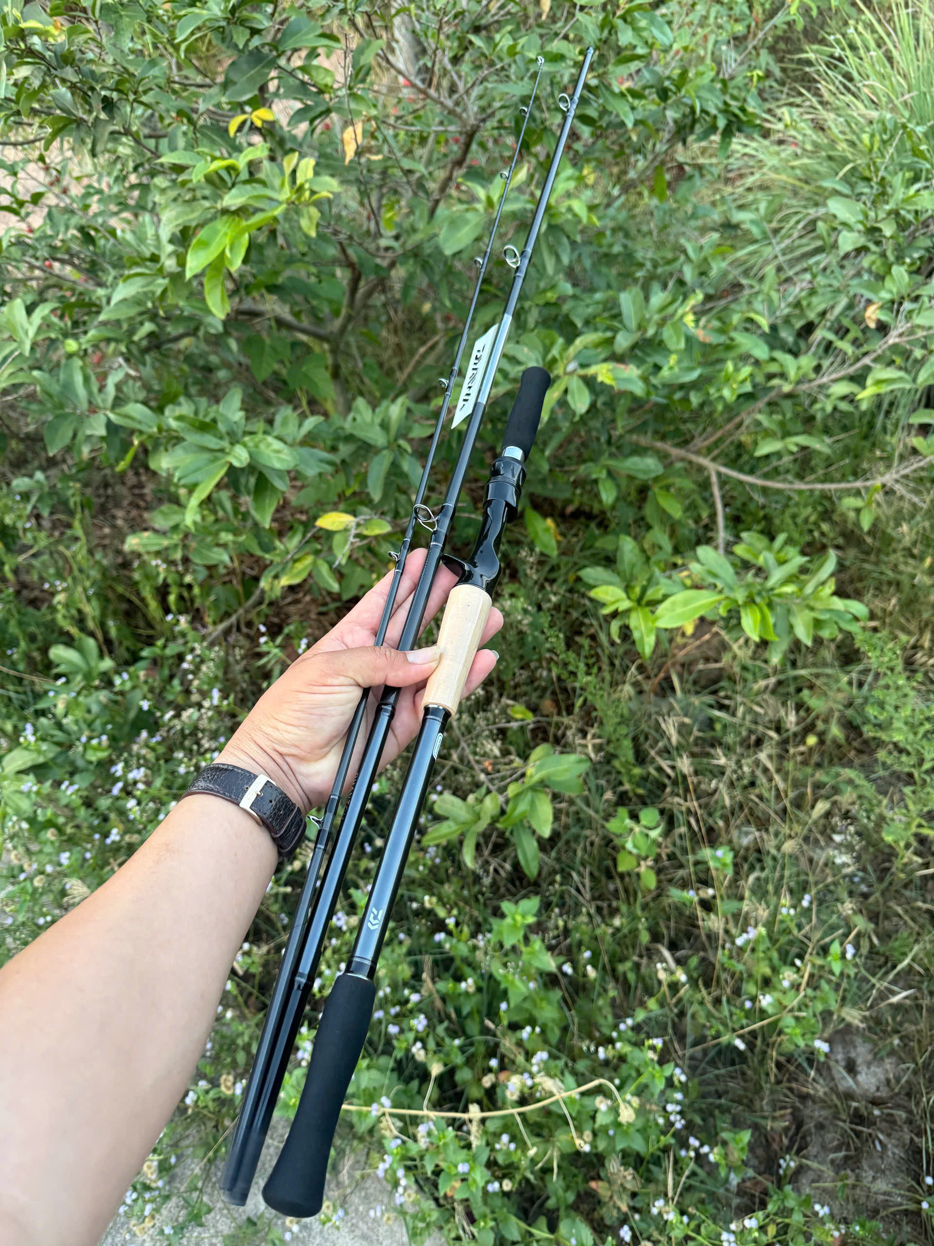 Cần lure Daiwa Phantom Liberalist - 2023