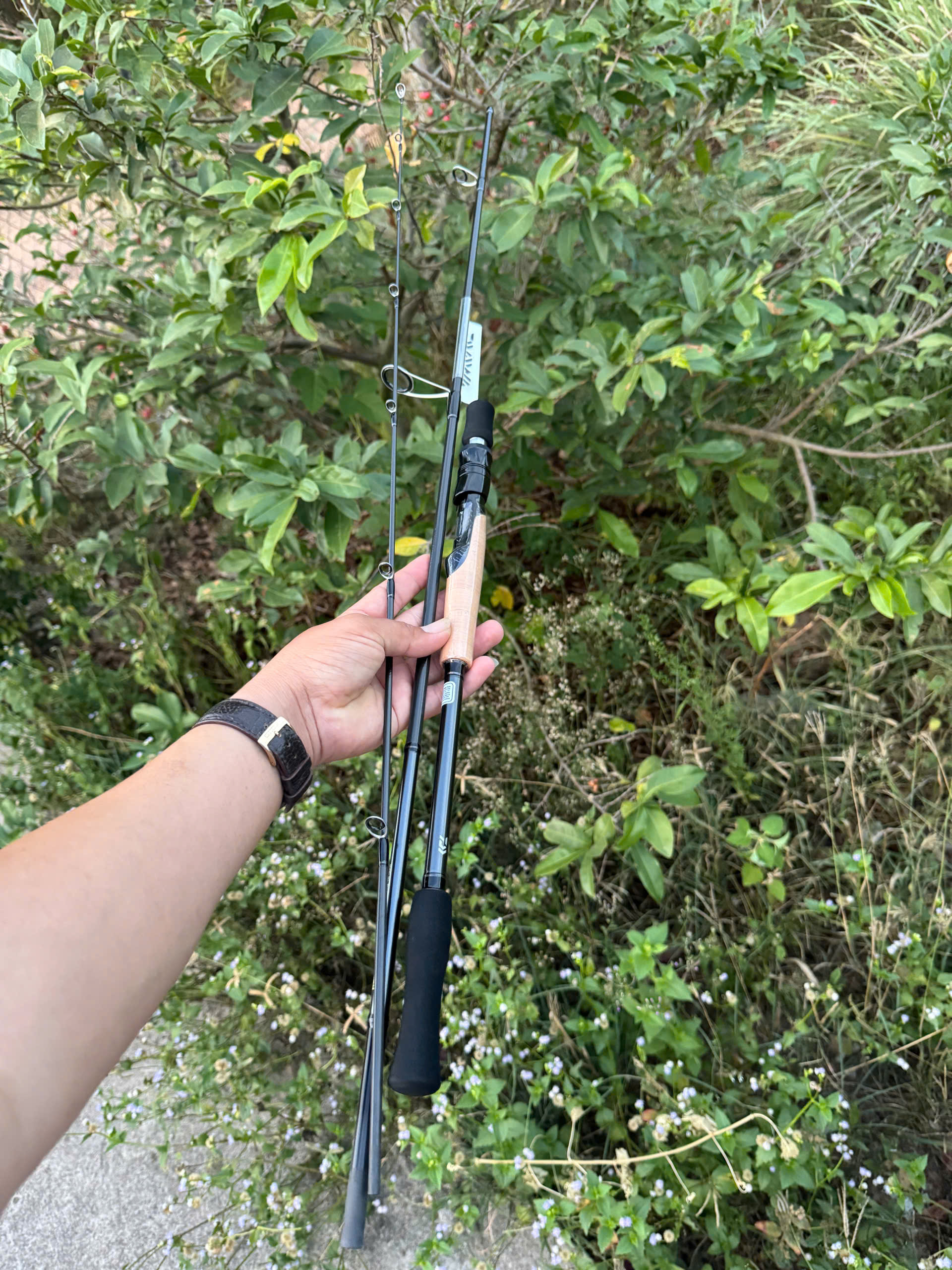 Cần lure Daiwa Phantom Liberalist - 2023