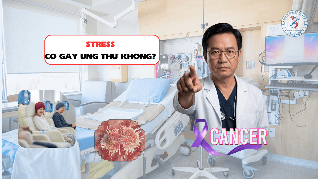 Stress có gây ung thư không? Góc nhìn khoa học