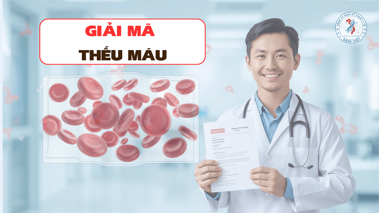 Thiếu máu là gì? Các chỉ số xét nghiệm máu giúp phát hiện thiếu máu sớm