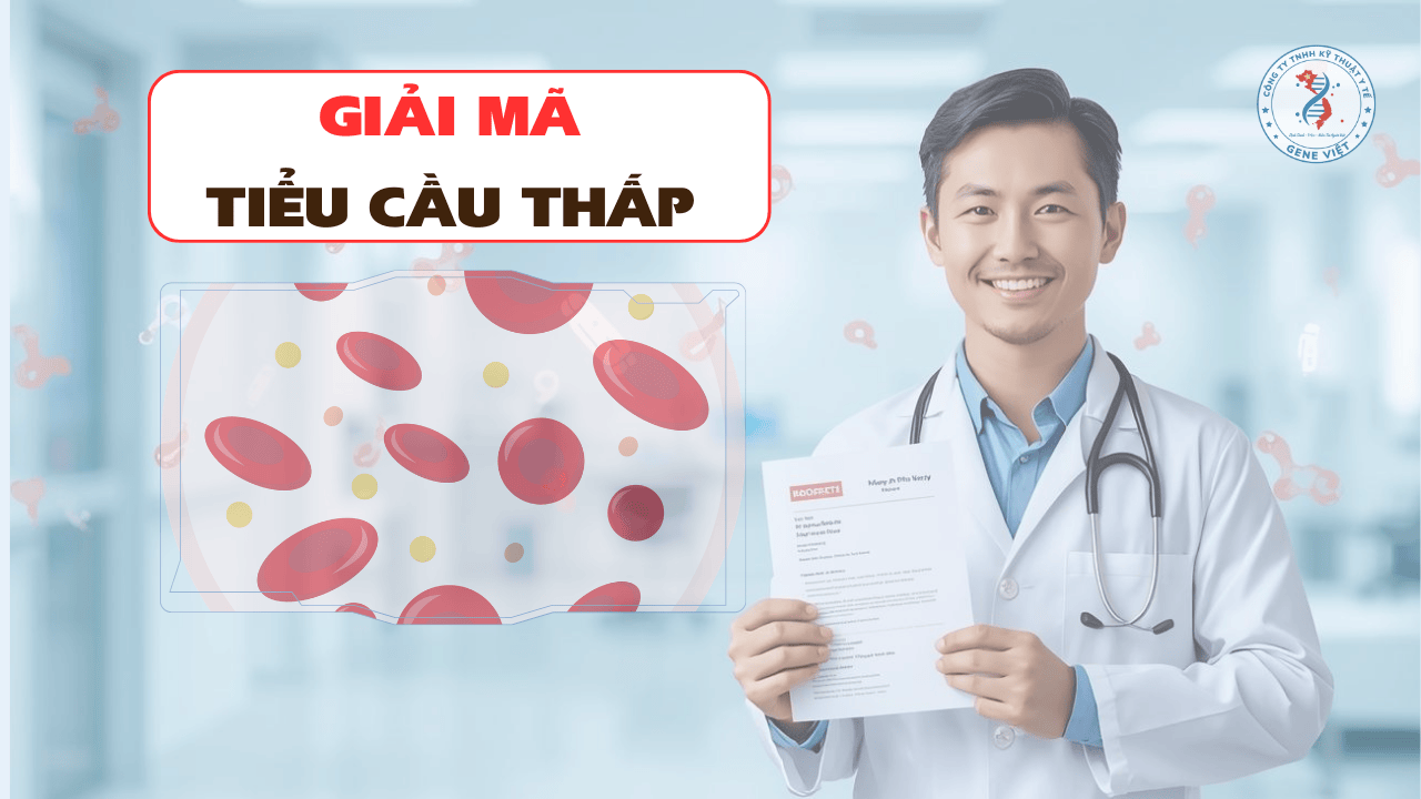 Tiểu cầu thấp có nguy hiểm không?