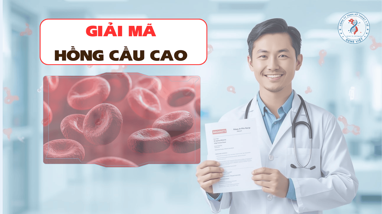 Hồng cầu cao do đâu? Hiểu đúng chỉ số hồng cầu trong xét nghiệm máu