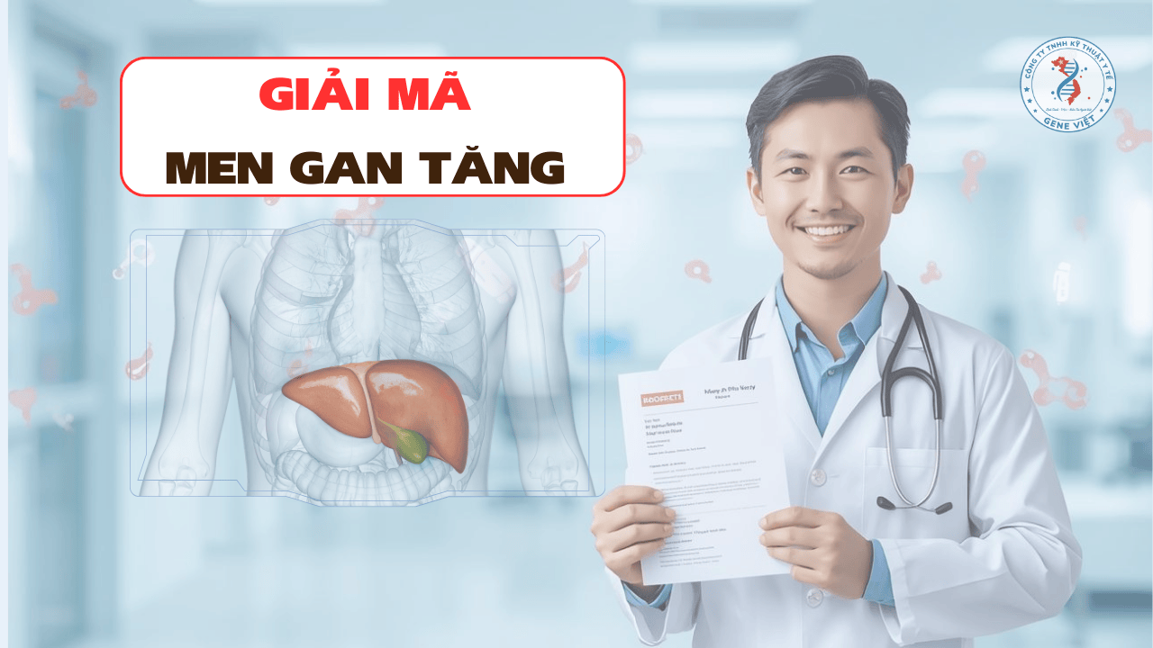 Men gan tăng nói gì về lá gan của bạn?