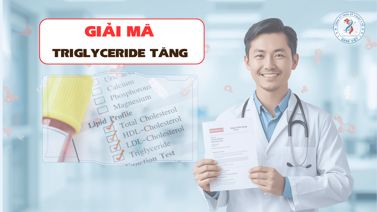 Triglyceride tăng do đâu?