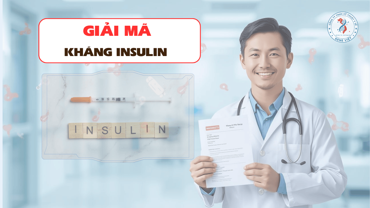 Kháng insulin là gì? Dấu hiệu cảnh báo sớm bạn cần biết