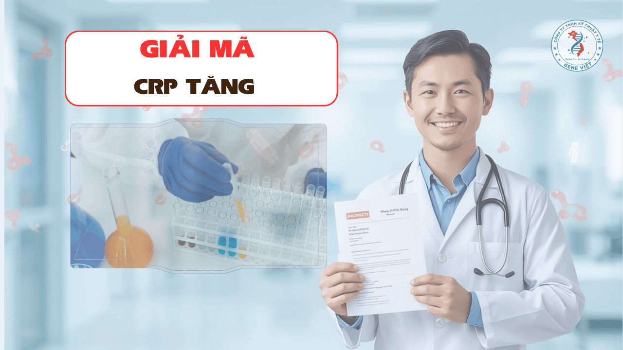 CRP tăng báo hiệu điều gì trong cơ thể?