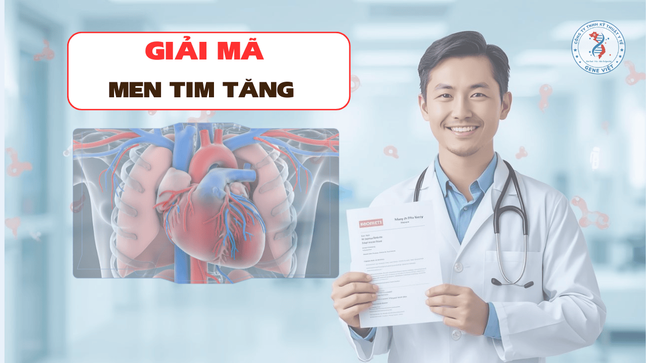 Men tim tăng khi nào đáng lo?