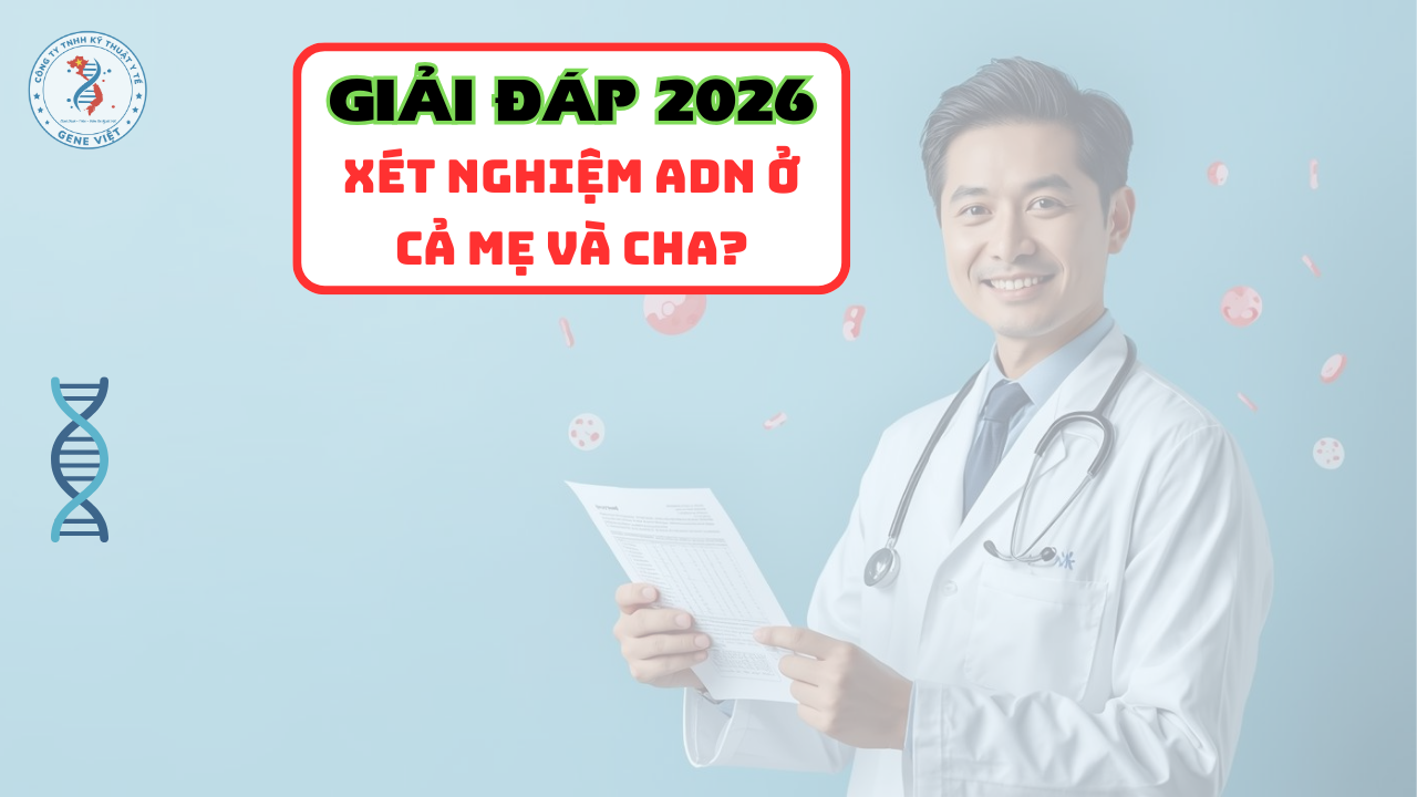 Có cần xét nghiệm ADN ở cả mẹ và cha không năm 2026