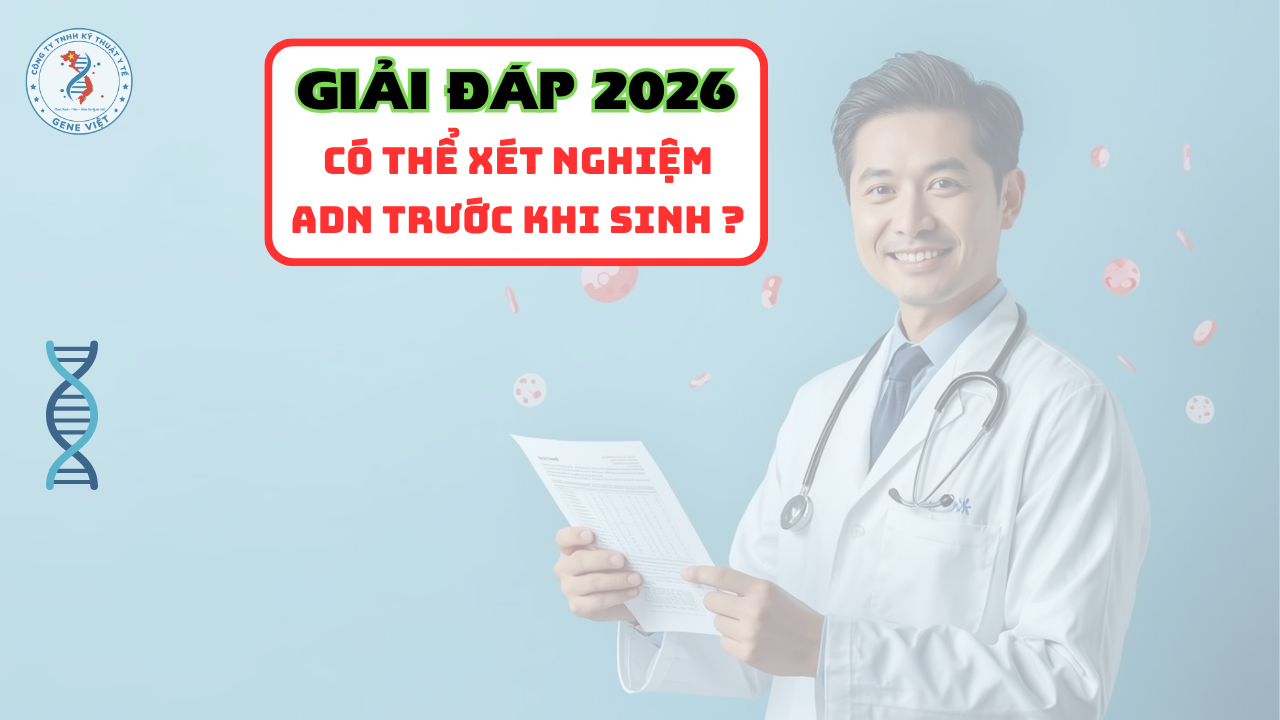 Có thể xét nghiệm ADN trước khi sinh không và những điều cần biết 2026