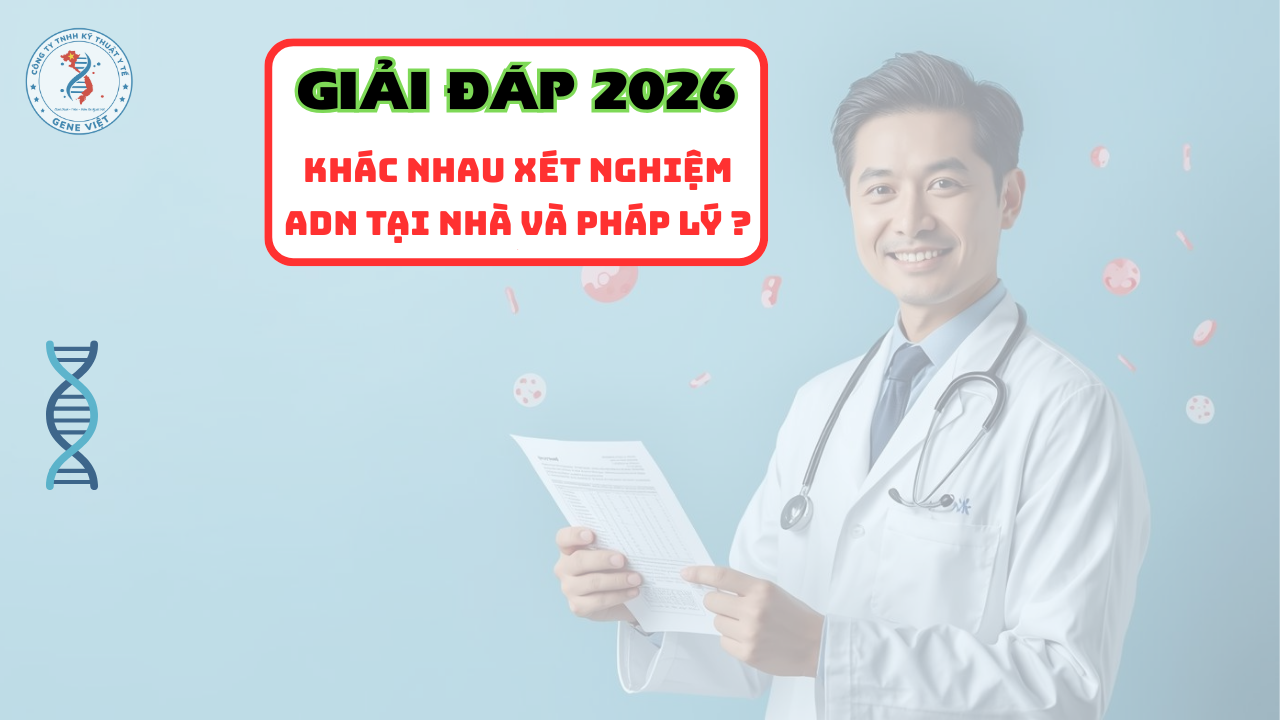 Xét nghiệm ADN tại nhà và pháp lý khác nhau như thế nào năm 2026