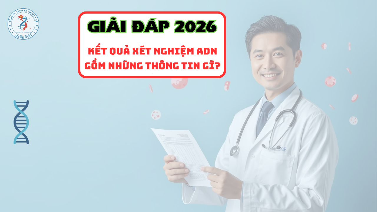 Kết quả xét nghiệm ADN gồm những thông tin gì trong 2026