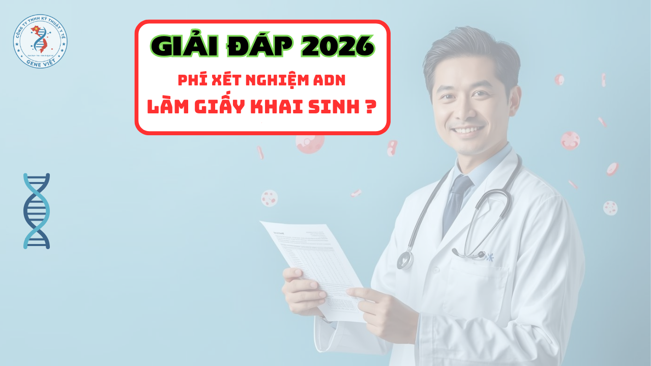 Phí xét nghiệm ADN làm giấy khai sinh tại Việt Nam năm 2026 bao nhiêu?