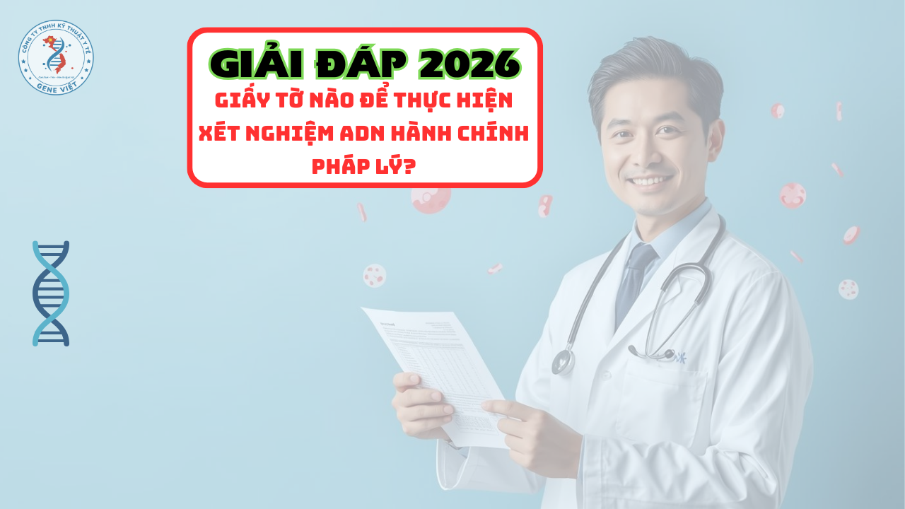 Cần những loại giấy tờ nào để thực hiện xét nghiệm ADN hành chính pháp lý năm 2026