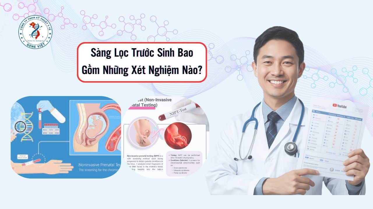 Sàng Lọc Trước Sinh Bao Gồm Những Xét Nghiệm Nào?