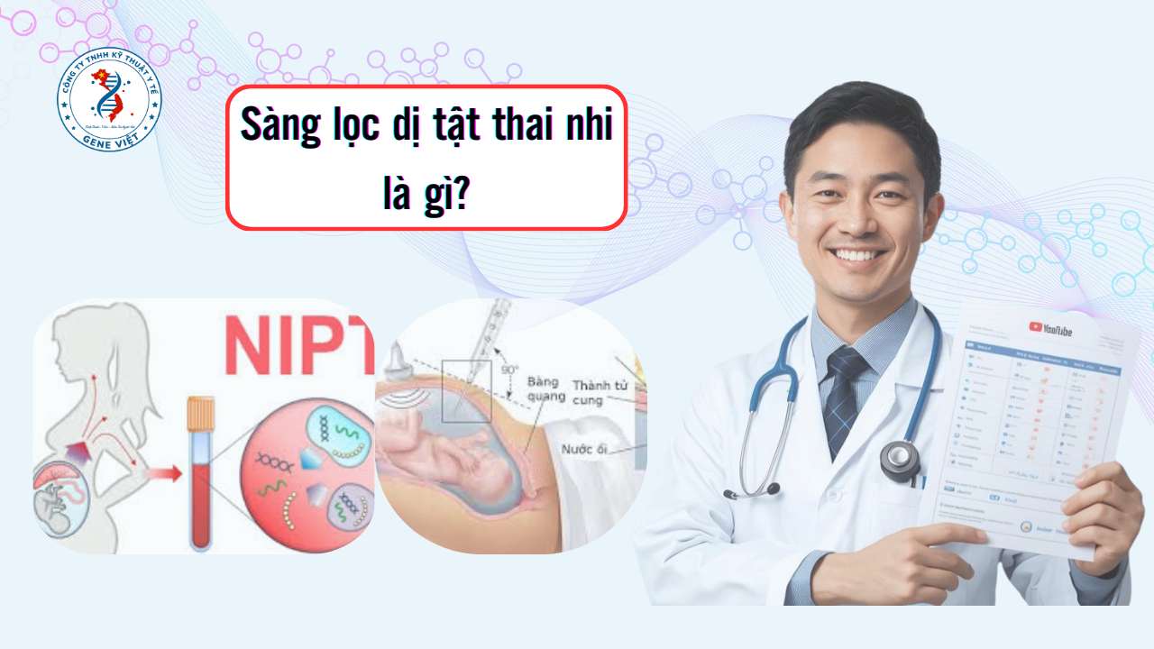 3 Lý Do Nên Sàng Lọc Dị Tật Thai Nhi Mẹ Bầu Cần Biết
